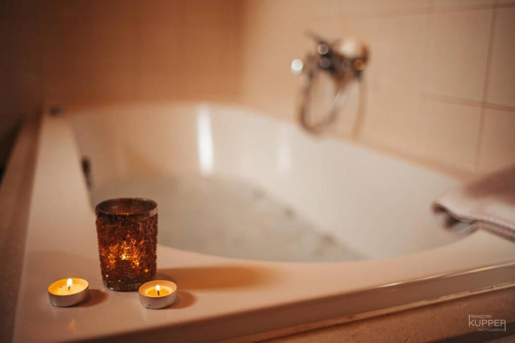 Le Heron 28Pers, Malmedy- Home Cinema, Balneo, Sauna, Jardin Eksteriør billede