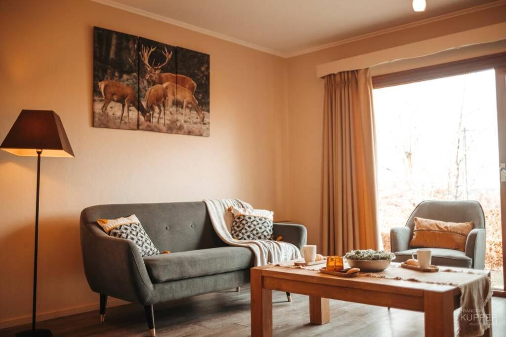 Le Heron 28Pers, Malmedy- Home Cinema, Balneo, Sauna, Jardin Eksteriør billede